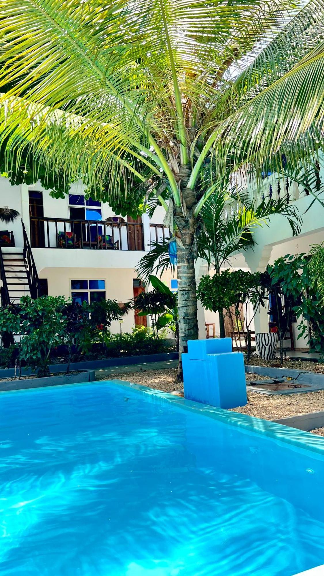 Kilimanjaro Bed & Breakfast Nungwi Exterior foto