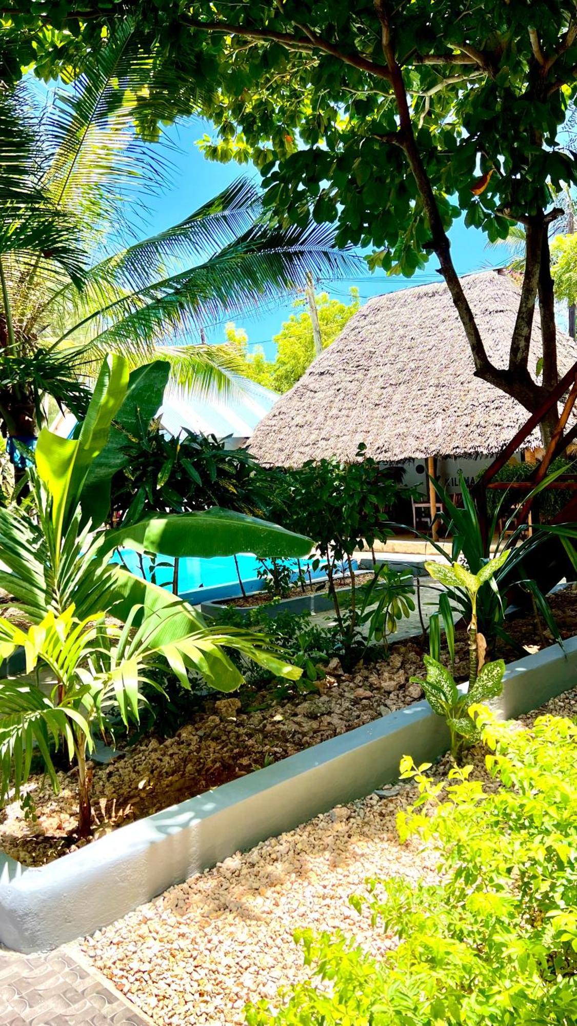 Kilimanjaro Bed & Breakfast Nungwi Exterior foto